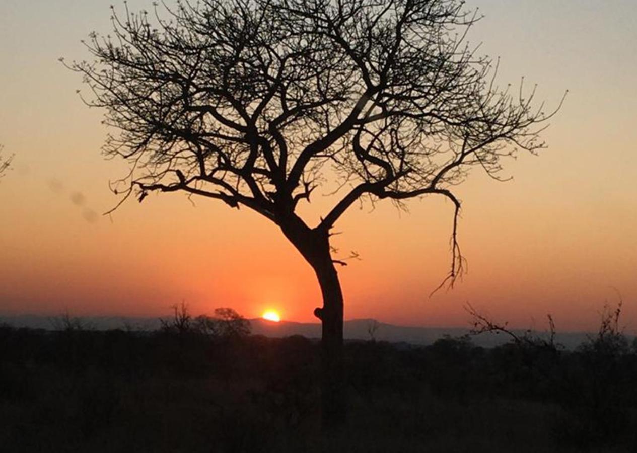 Burchell'S Bush Lodge By Dream Resorts Sabi Sand Game Reserve Buitenkant foto