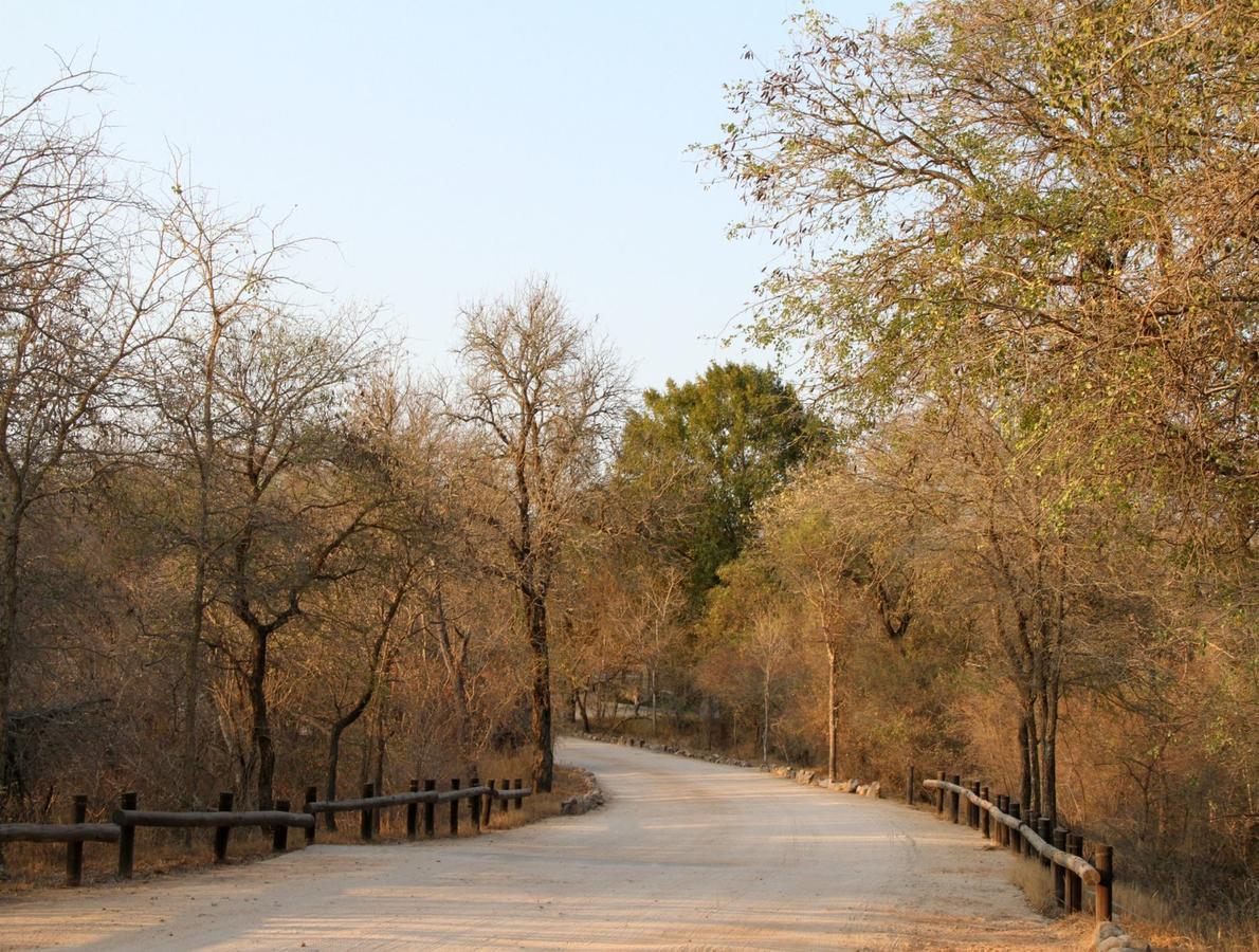 Burchell'S Bush Lodge By Dream Resorts Sabi Sand Game Reserve Buitenkant foto